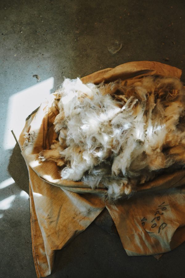 Rundvisning i Uldens Hus (Lørdag d. 20/6-2026)