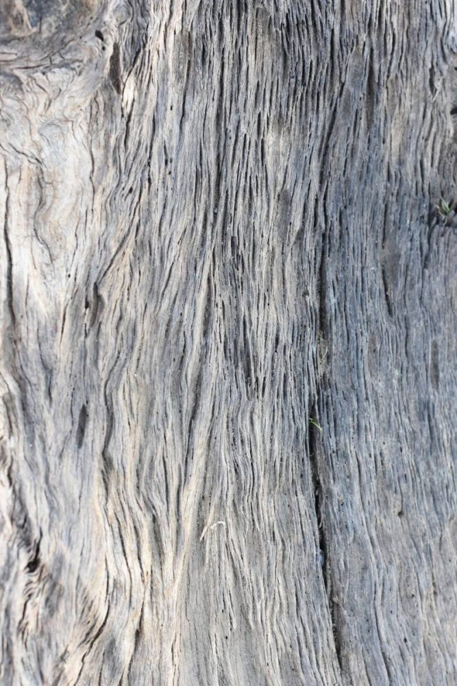 Driftwood opskrift